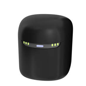 Rexton Dry&Clean Charger